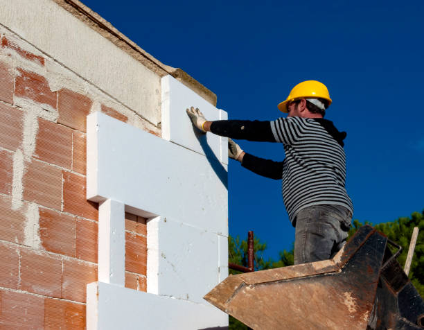 Best Insulation Inspection Services  in Apopka, FL