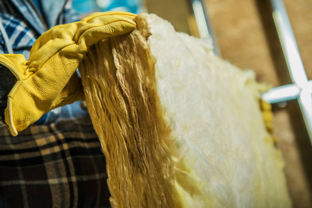 Best Attic Insulation Near Me  in Apopka, FL
