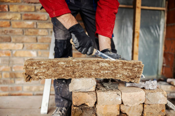 Best Professional Insulation Contractor  in Apopka, FL